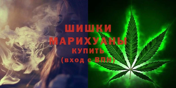 сатива Магас