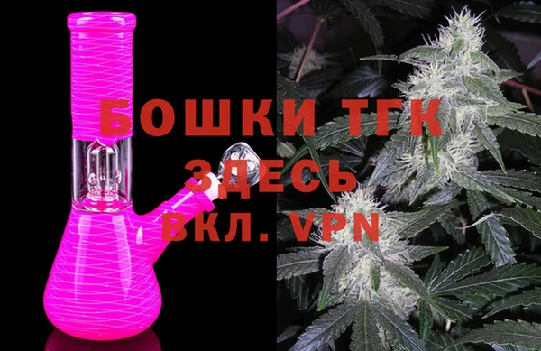 сатива Магас