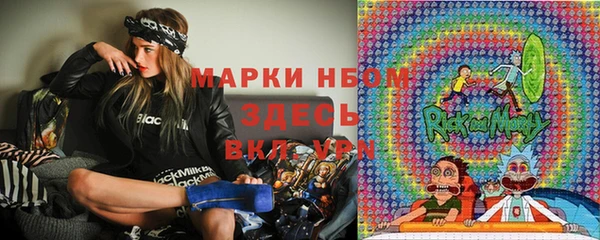 сатива Магас