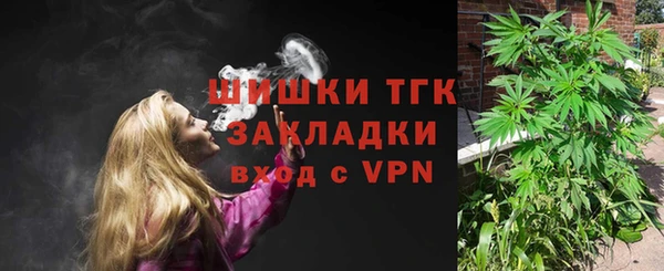 твердый Тобольск
