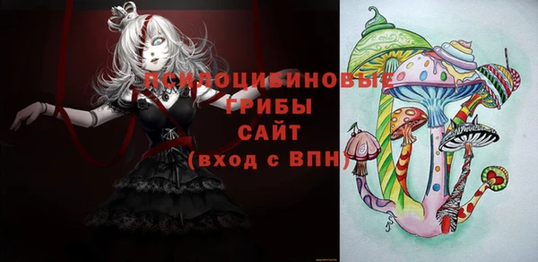 ПСИЛОЦИБИНОВЫЕ ГРИБЫ Медвежьегорск