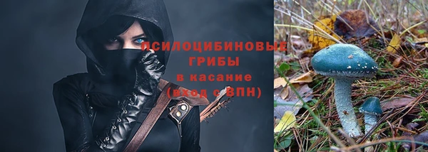 сатива Магас